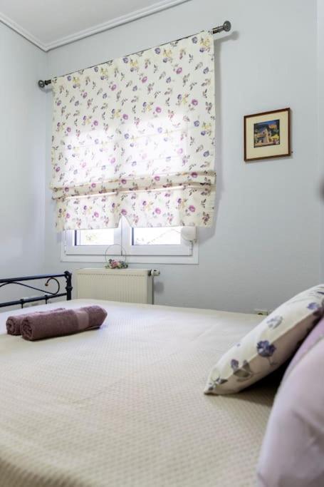 Fine House Apartment
